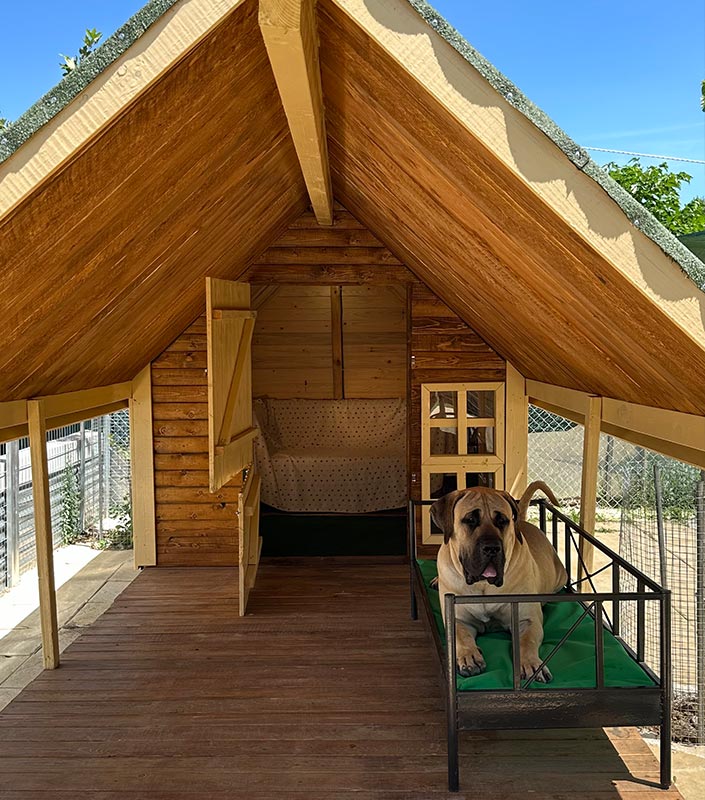 Φιλοξενία σκύλων I Love Dogs