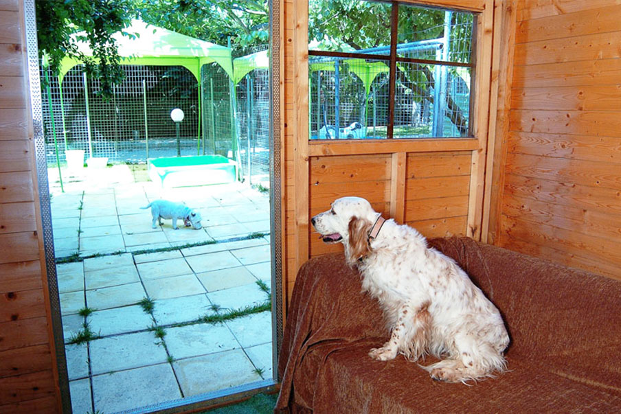 Ξενοδοχείο ζώων στην Αθήνα