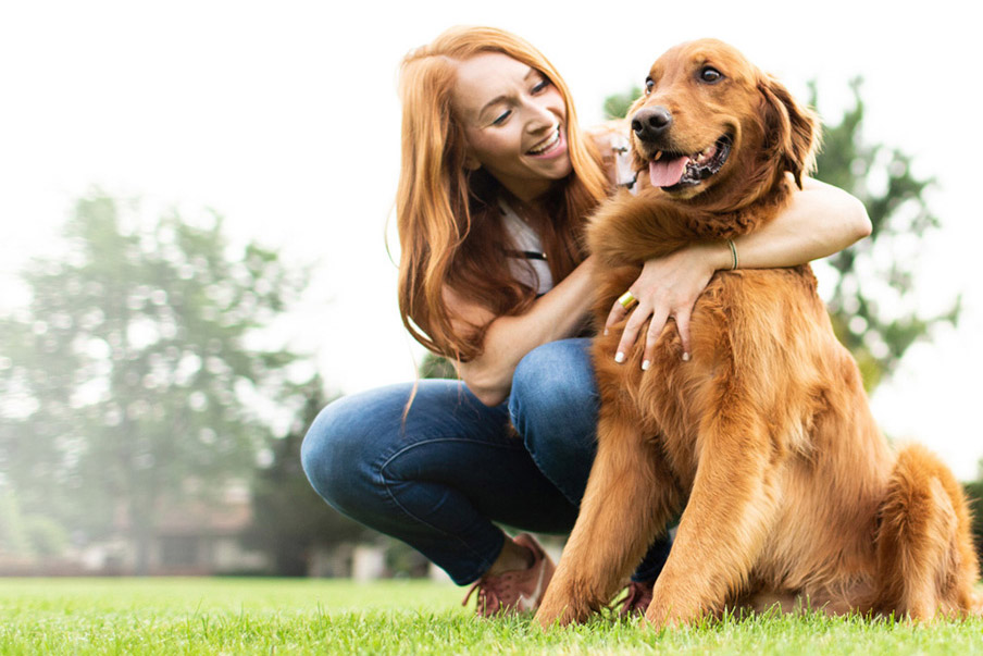 Νέα νομοθεσία για ζώα συντροφιάς - Πρόγραμμα Άργος