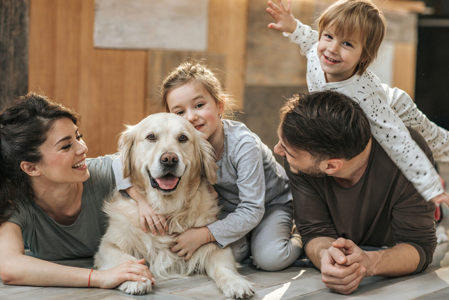 Οι 10 καλύτερες ράτσες σκυλιών για την οικογένεια