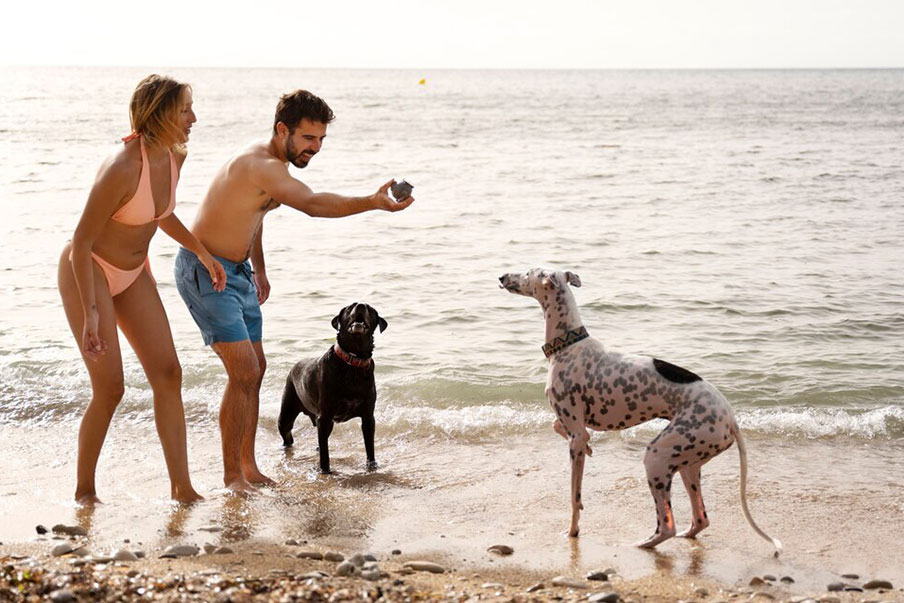 Οι καλύτερες σκυλοφιλικές παραλίες στην Αθήνα