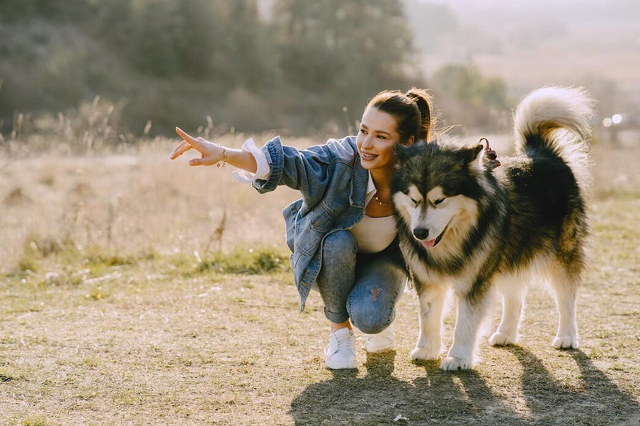 5 διασκεδαστικοί τρόποι για να ασκηθείτε με τον σκύλο σας