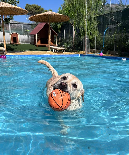 Δραστηριότητες στο νερό