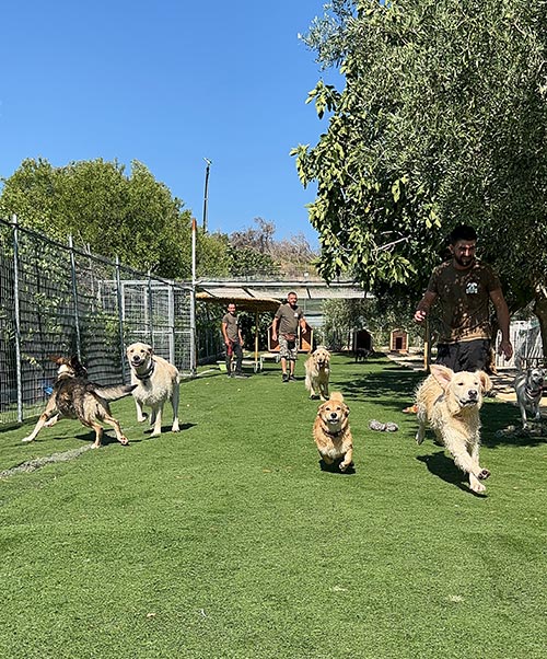 Ημερήσιες δραστηριότητες