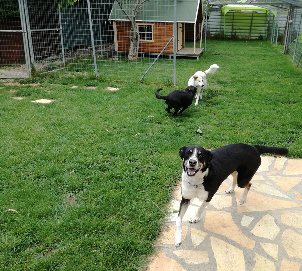 Ημερήσιες δραστηριότητες