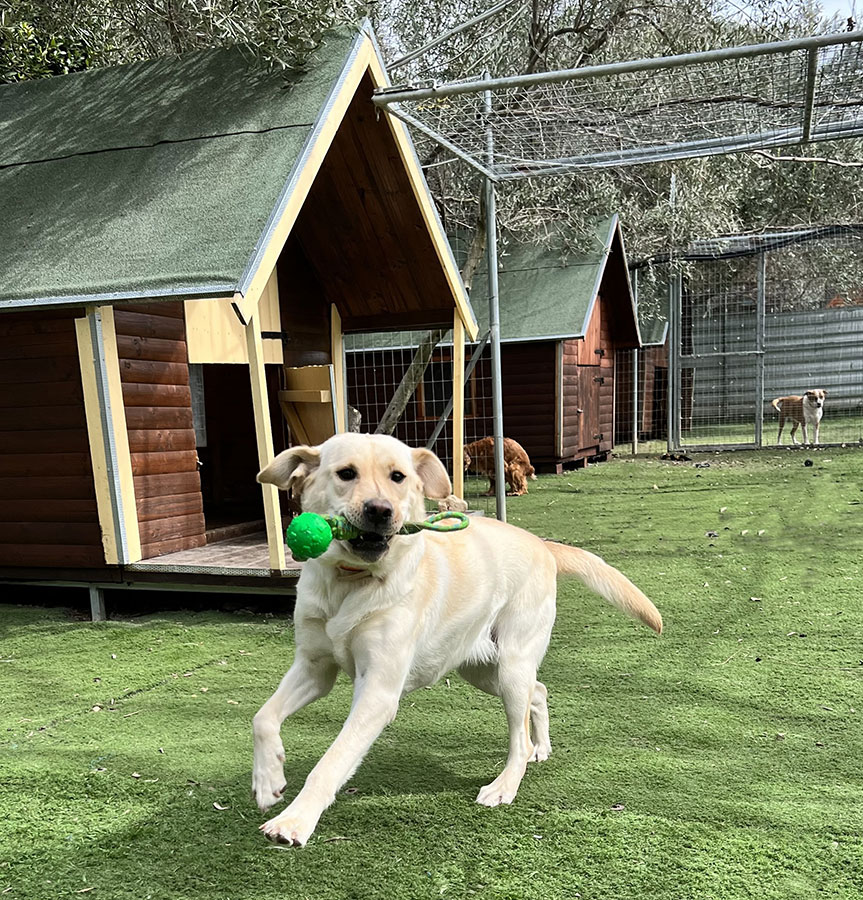 Ημερήσιες δραστηριότητες