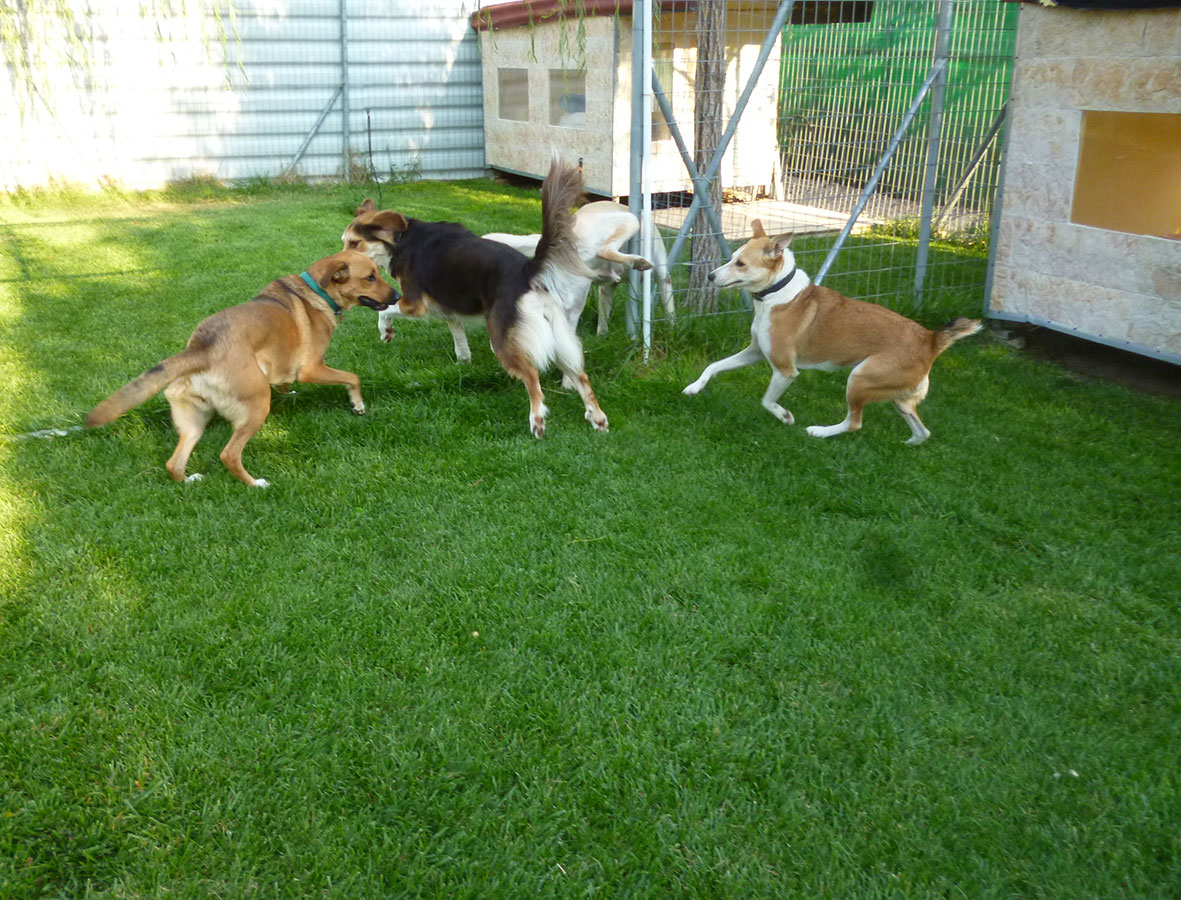 Ημερήσιες δραστηριότητες