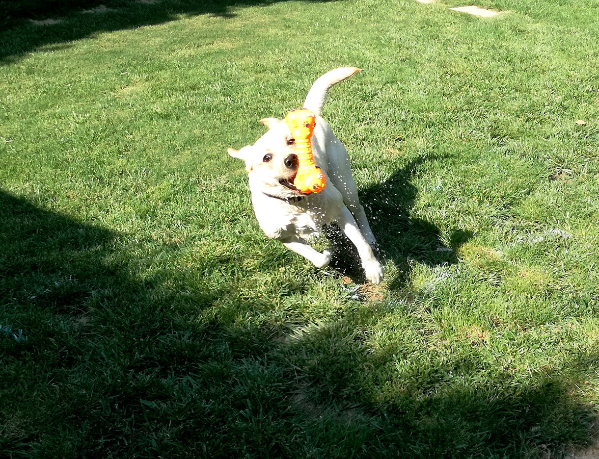 Ημερήσιες δραστηριότητες