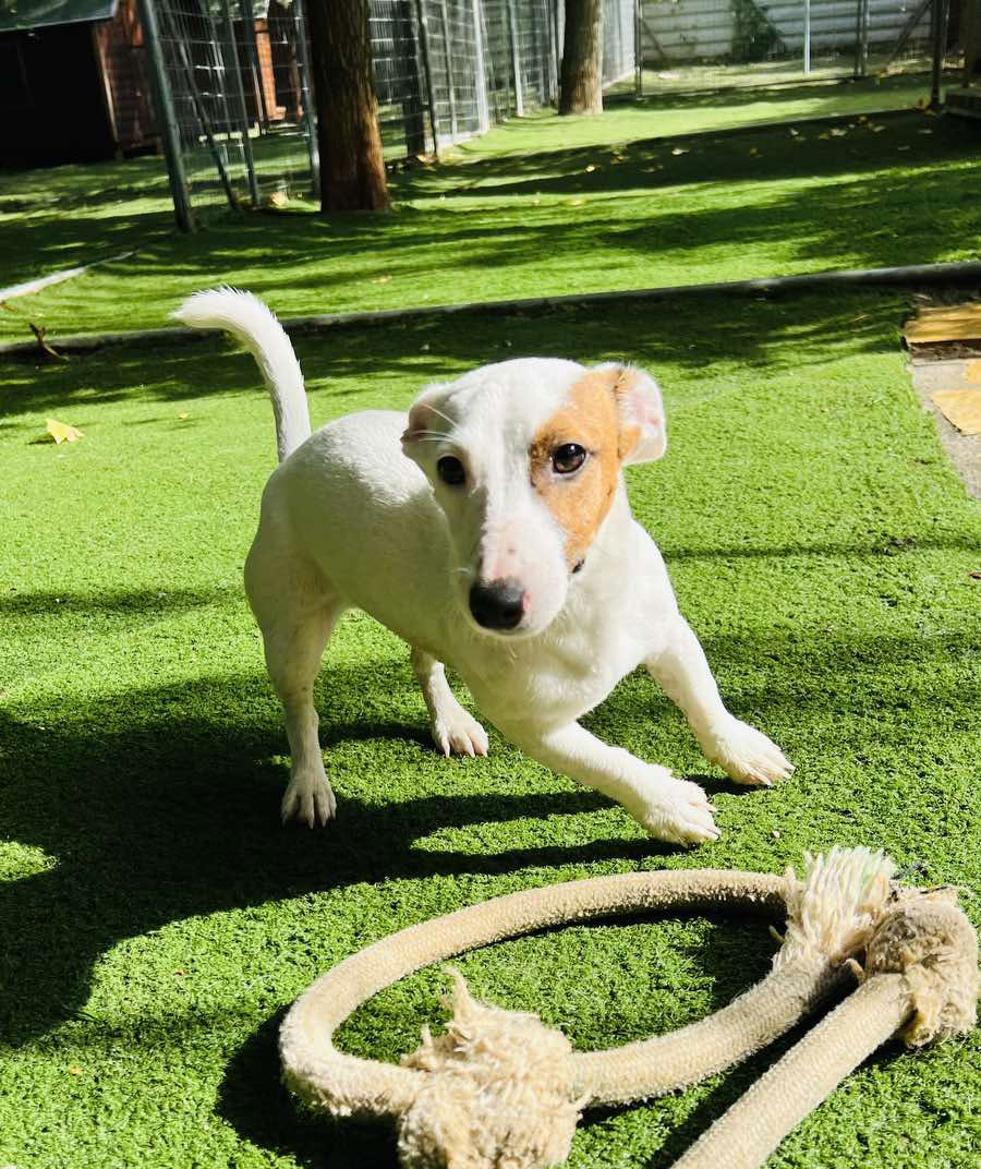 Ημερήσιες δραστηριότητες