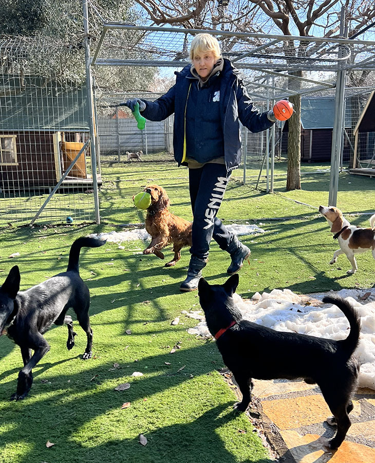 Ημερήσιες δραστηριότητες