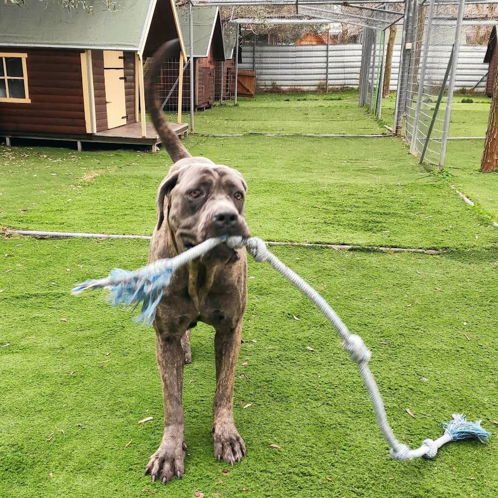 Ημερήσιες δραστηριότητες