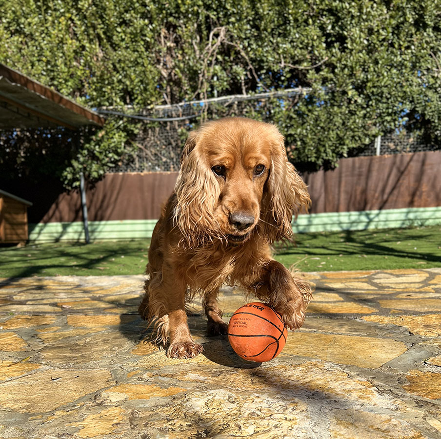 Ημερήσιες δραστηριότητες