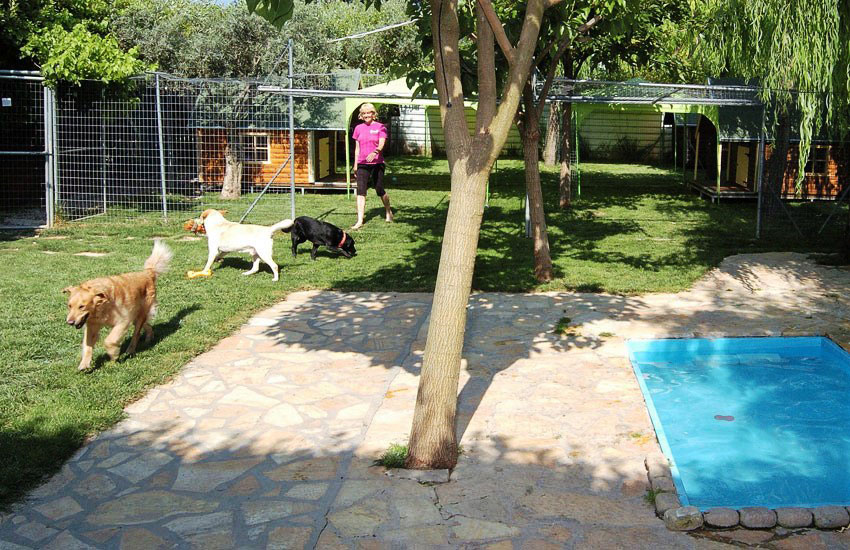 Ημερήσιες δραστηριότητες