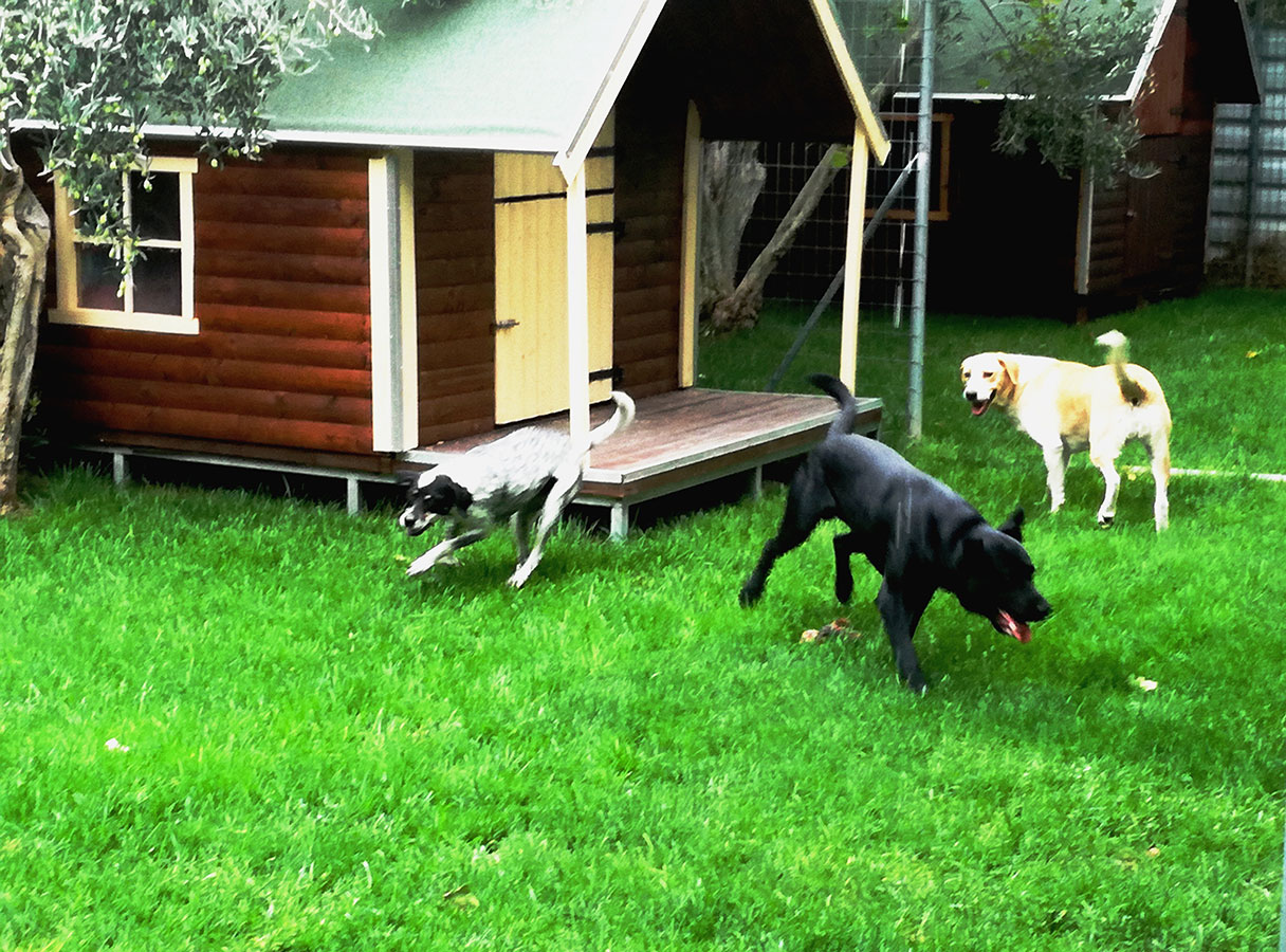 Ημερήσιες δραστηριότητες