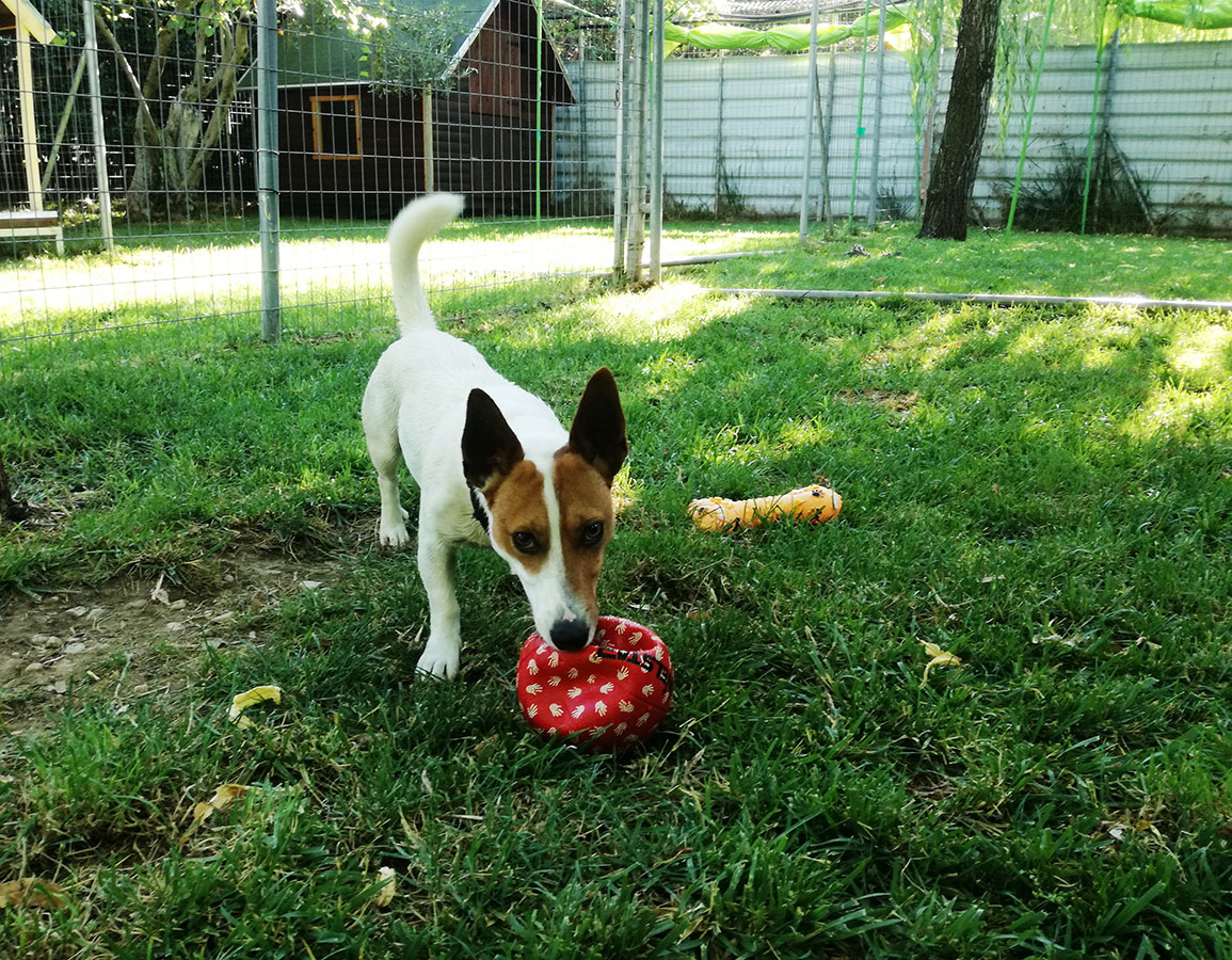 Ημερήσιες δραστηριότητες