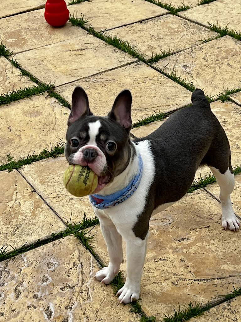 Ημερήσιες δραστηριότητες