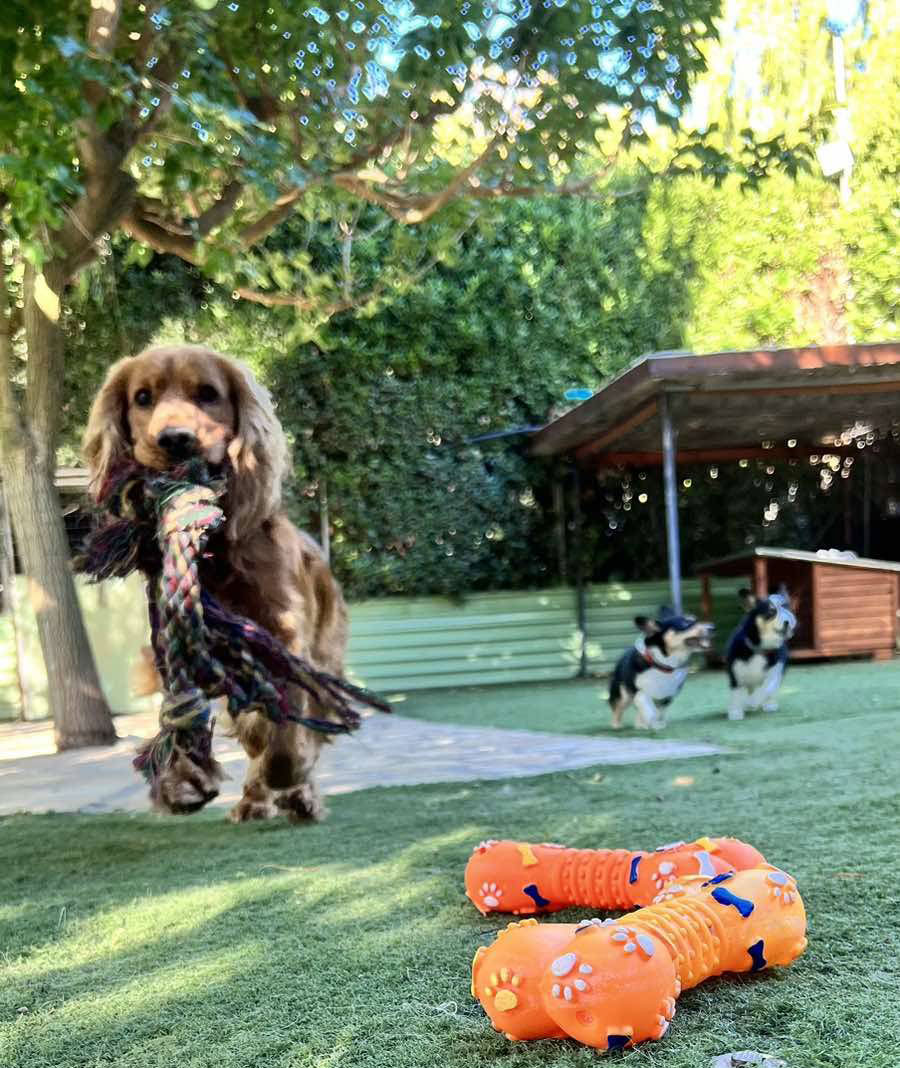 Ημερήσιες δραστηριότητες