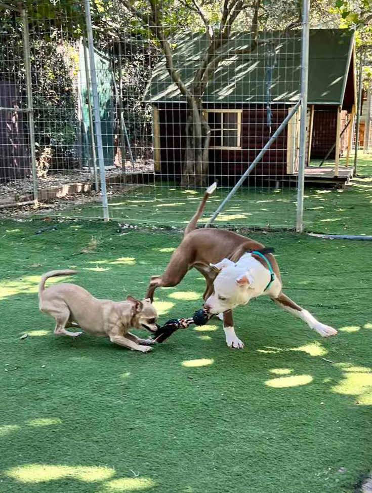 Ημερήσιες δραστηριότητες