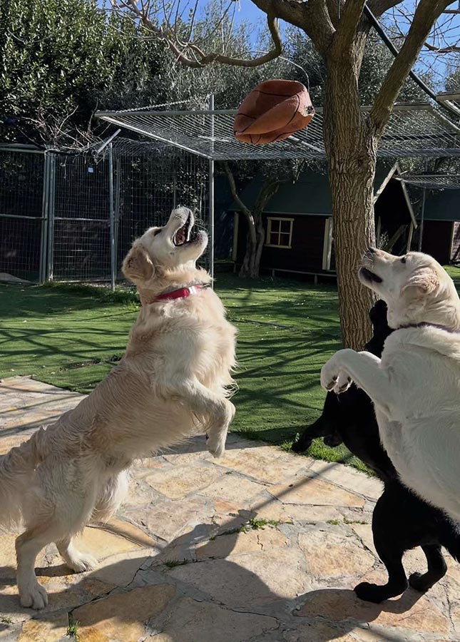 Ημερήσιες δραστηριότητες