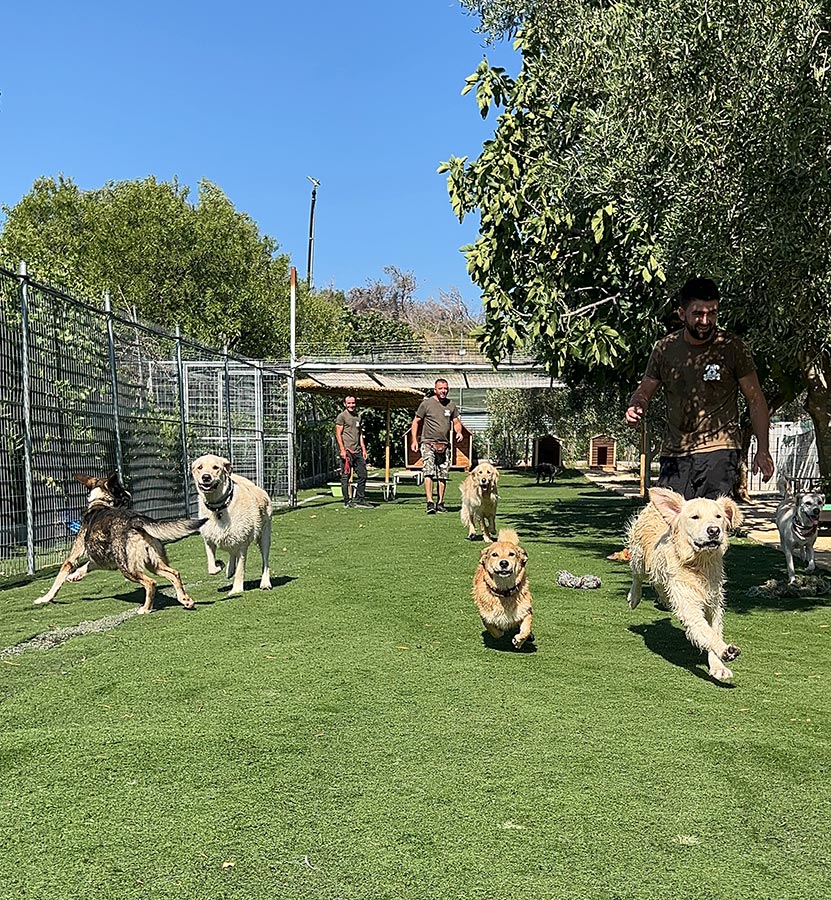 Ημερήσιες δραστηριότητες