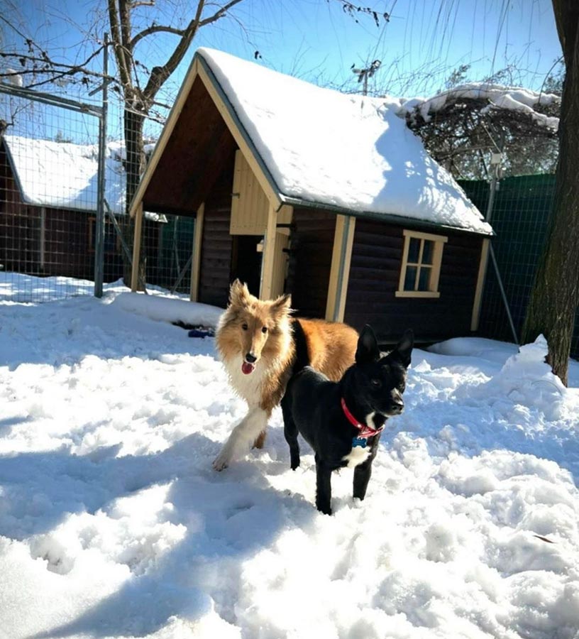 Ημερήσιες δραστηριότητες