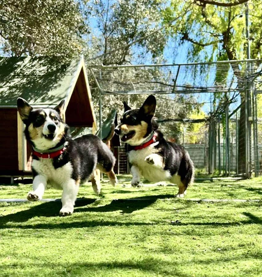 Ημερήσιες δραστηριότητες