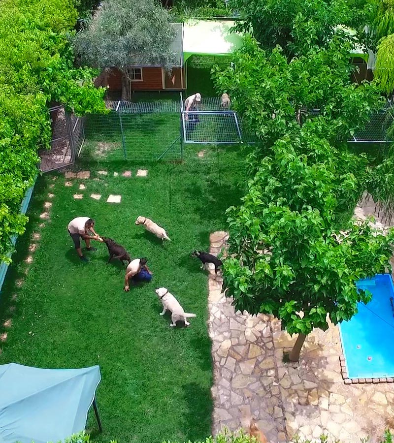 Ημερήσιες δραστηριότητες