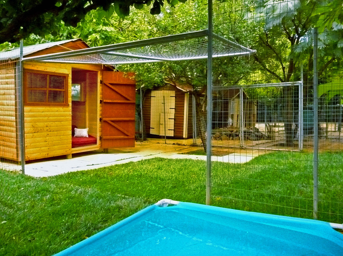 Επαύλεις σκύλων