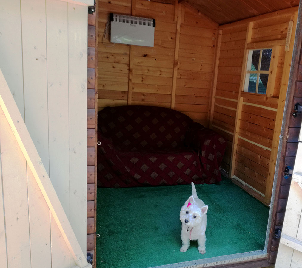 Επαύλεις σκύλων