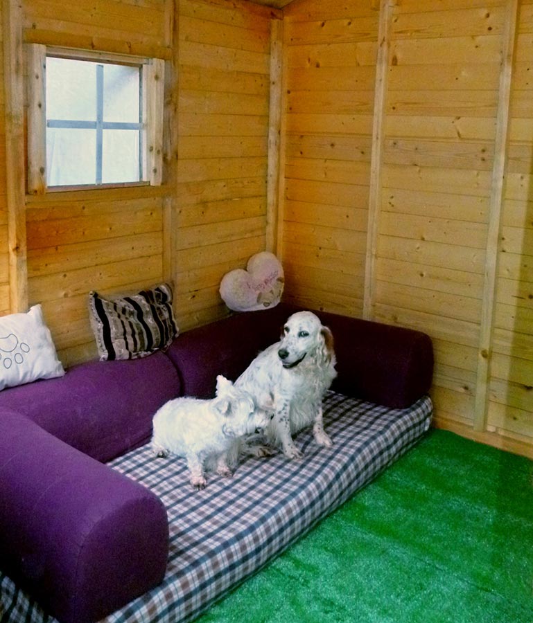 Επαύλεις σκύλων