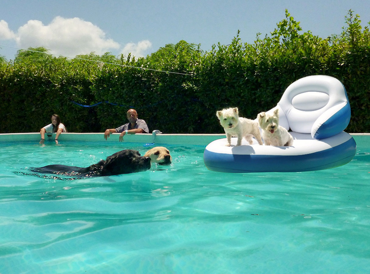 Δραστηριότητες στο νερό