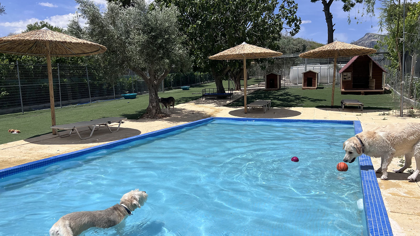 Δραστηριότητες στο νερό