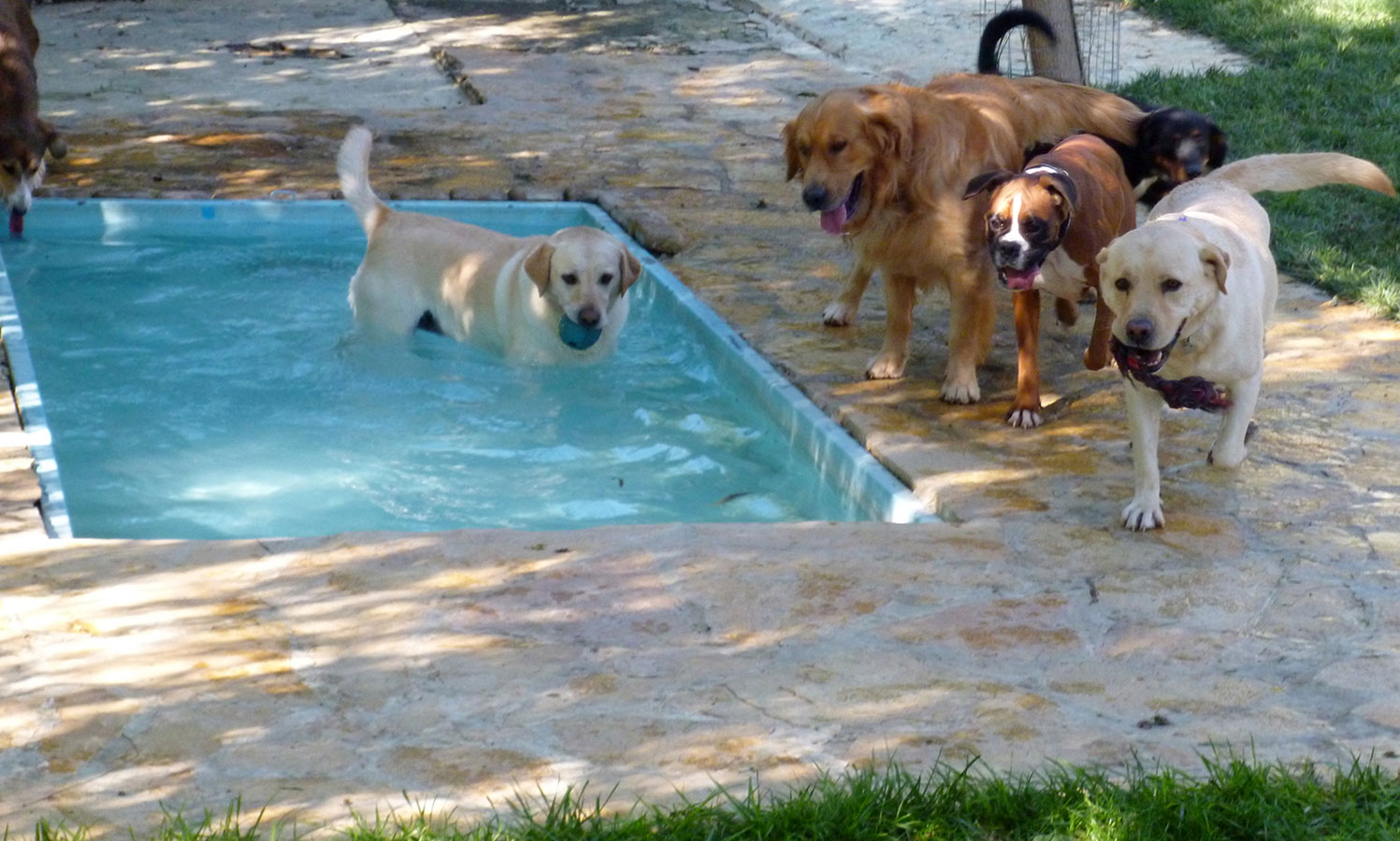 Δραστηριότητες στο νερό