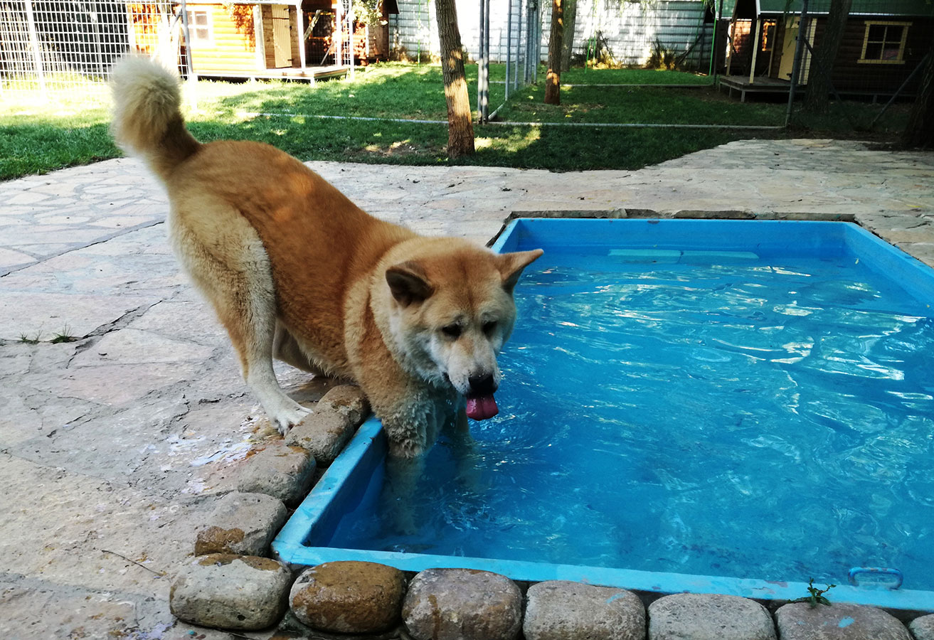 Δραστηριότητες στο νερό