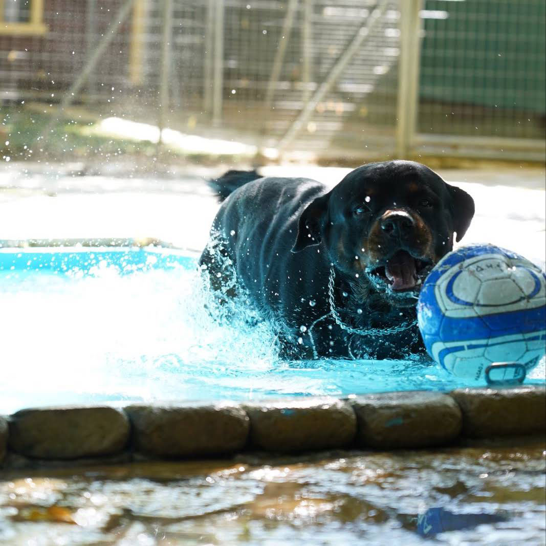 Δραστηριότητες στο νερό