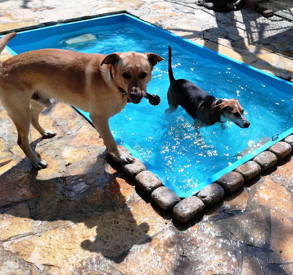 Δραστηριότητες στο νερό