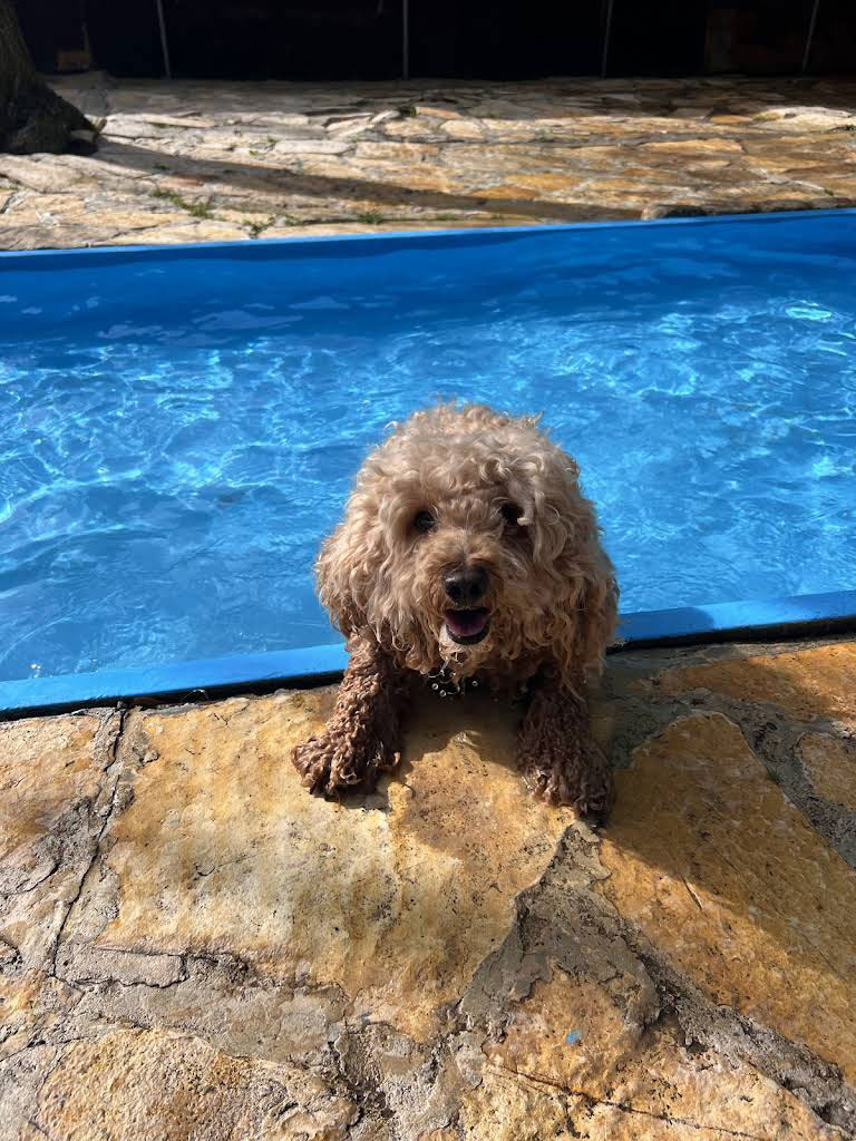 Δραστηριότητες στο νερό