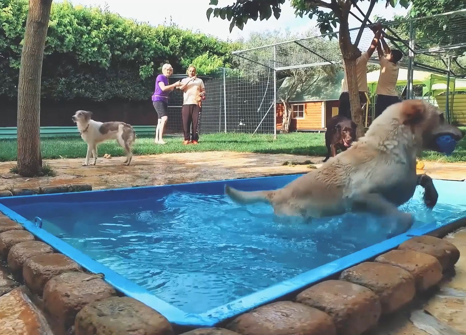 Δραστηριότητες στο νερό