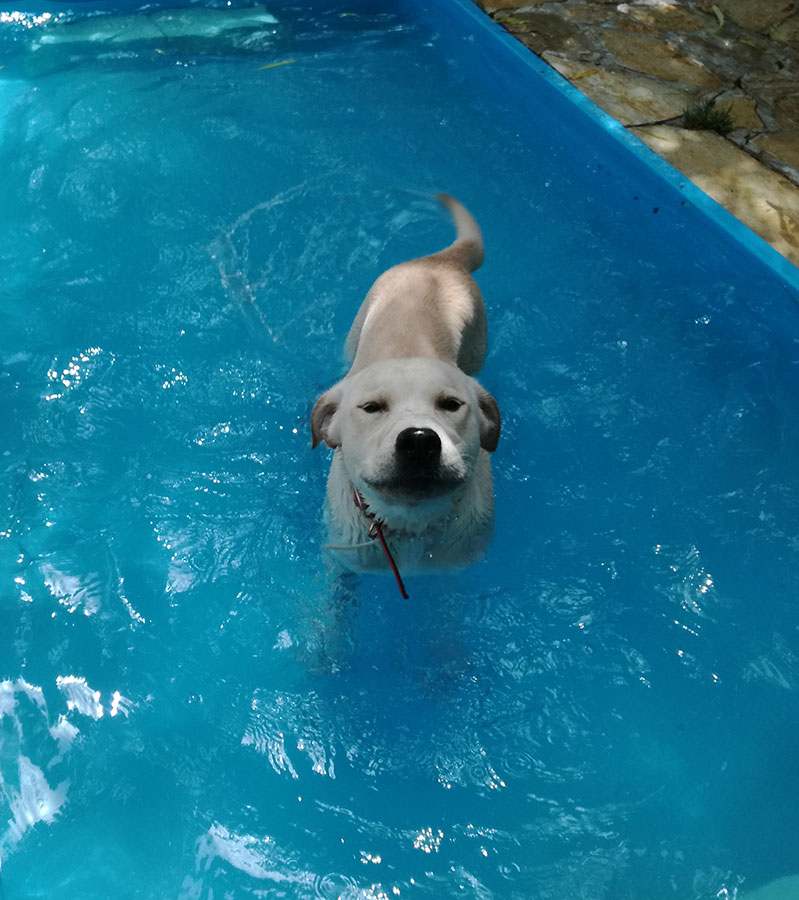 Δραστηριότητες στο νερό