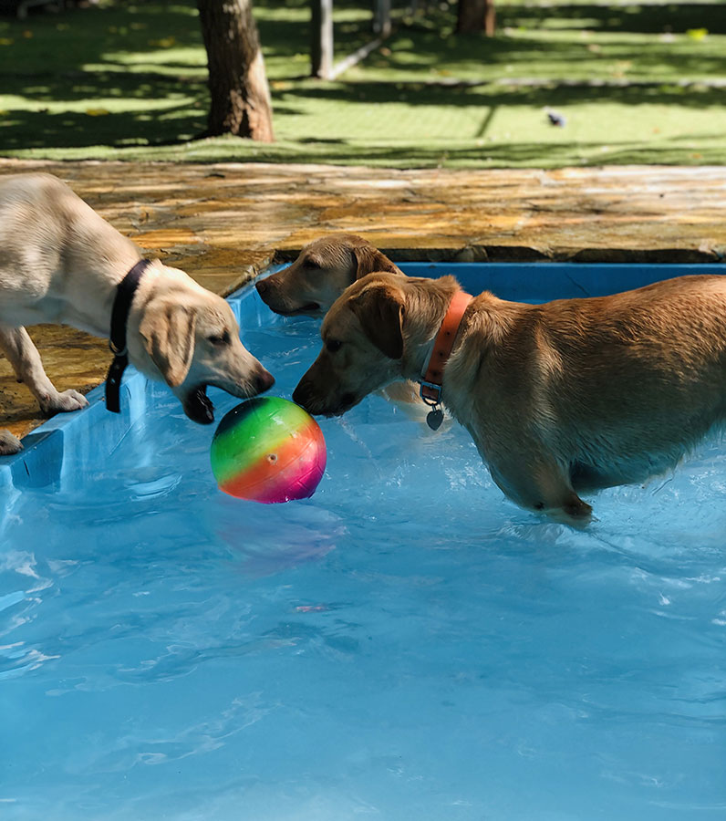 Δραστηριότητες στο νερό