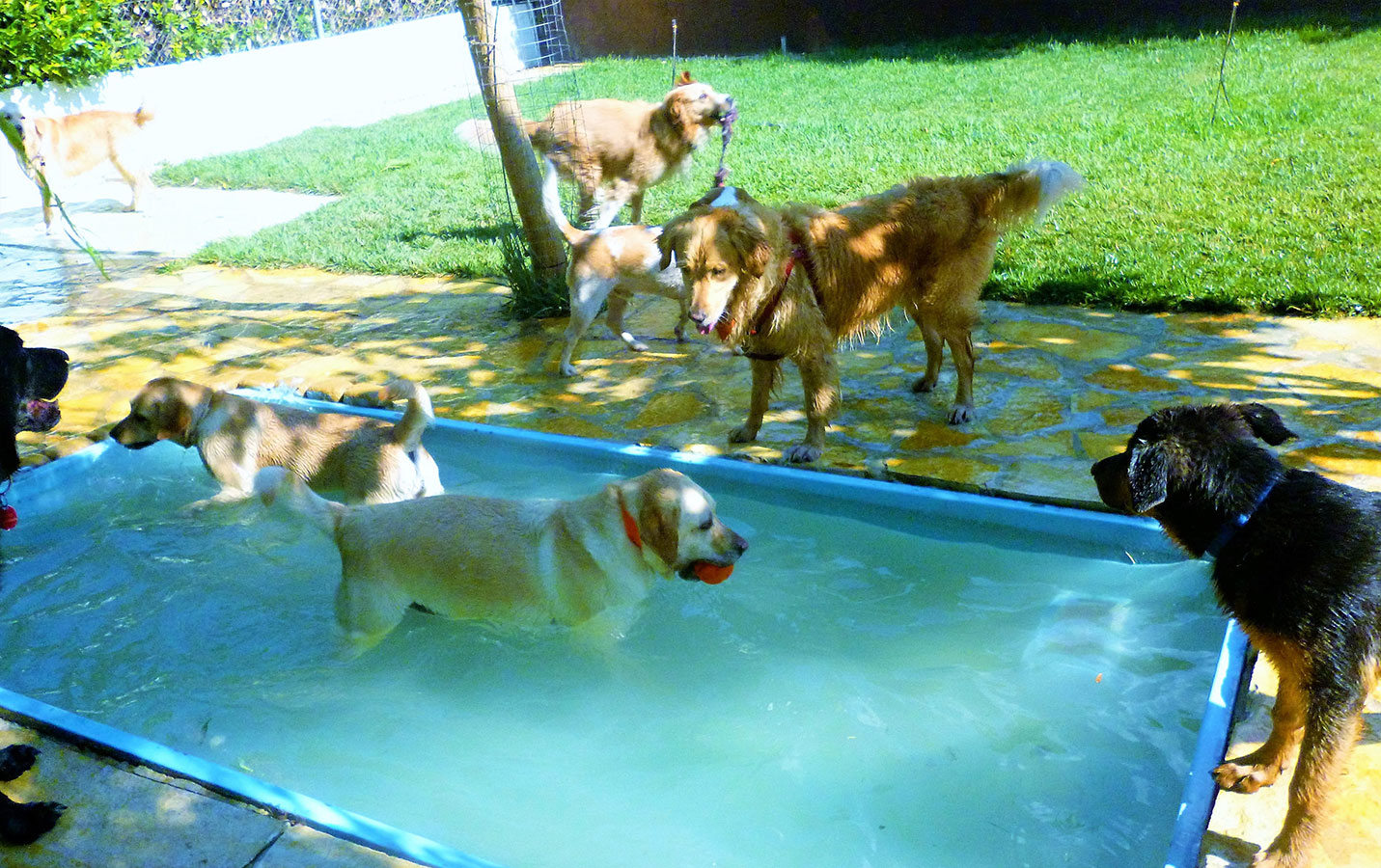 Δραστηριότητες στο νερό
