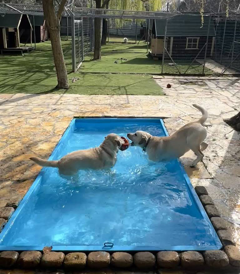 Δραστηριότητες στο νερό