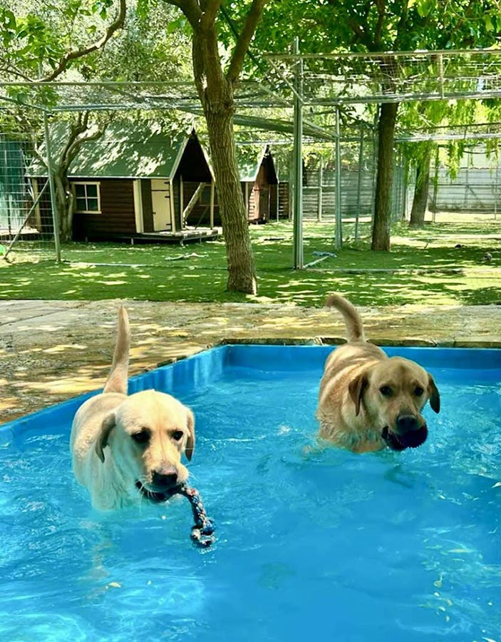 Δραστηριότητες στο νερό