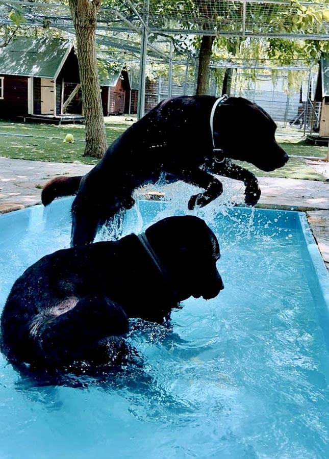 Δραστηριότητες στο νερό