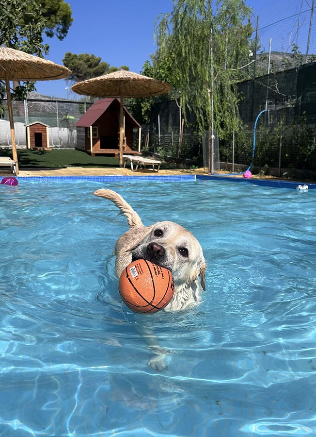 Δραστηριότητες στο νερό