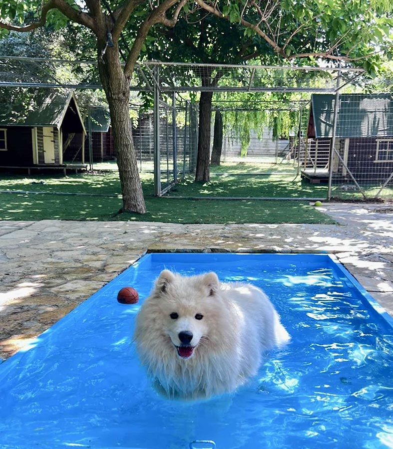 Δραστηριότητες στο νερό