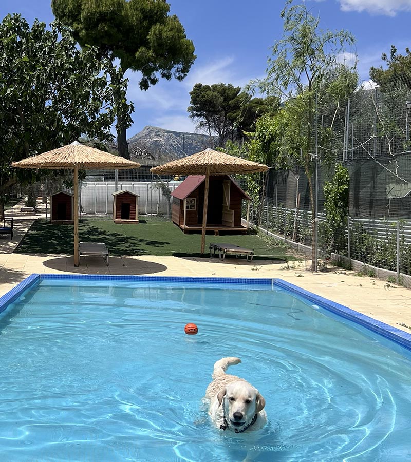 Δραστηριότητες στο νερό