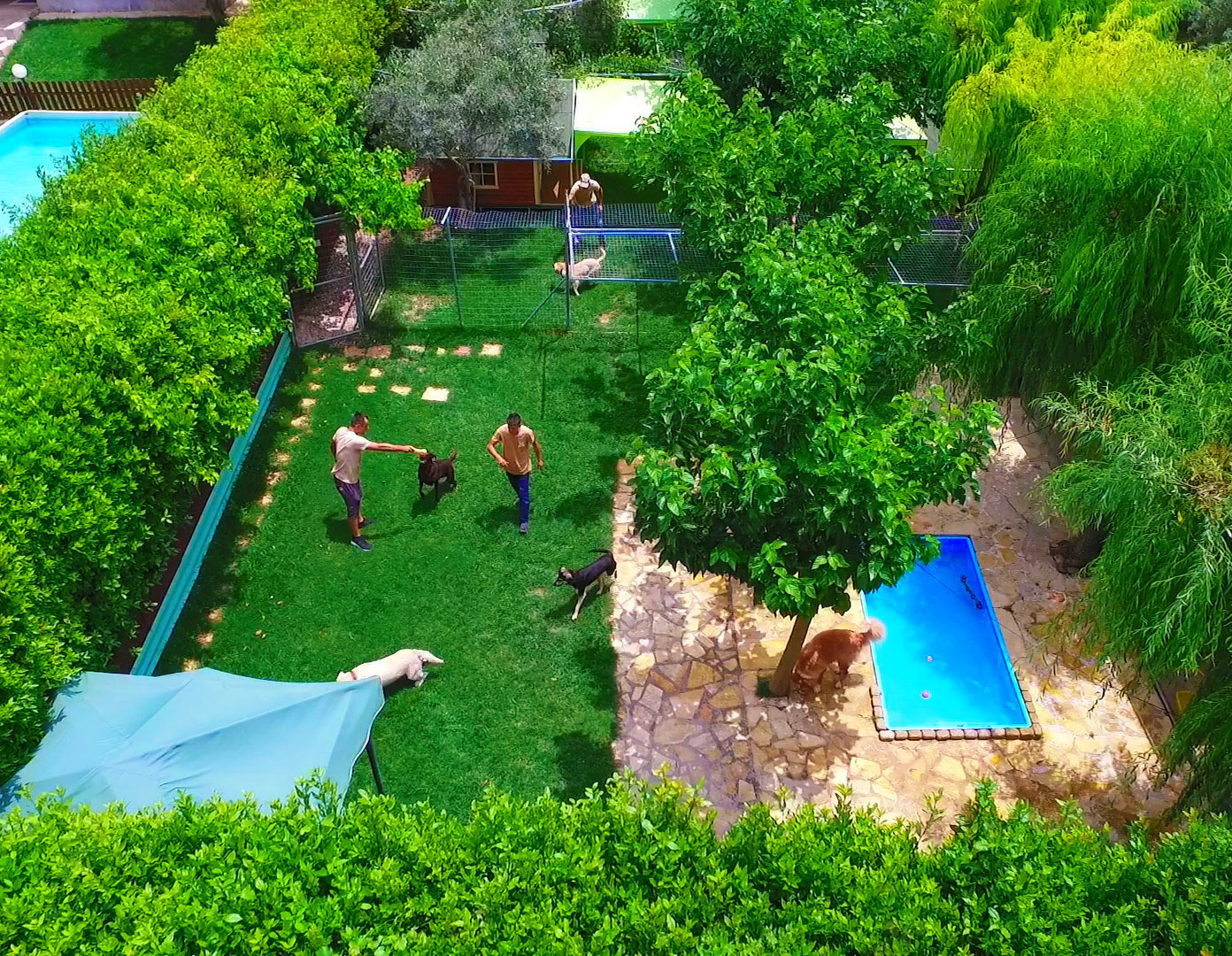 Ξενοδοχείο σκύλων I Love Dogs