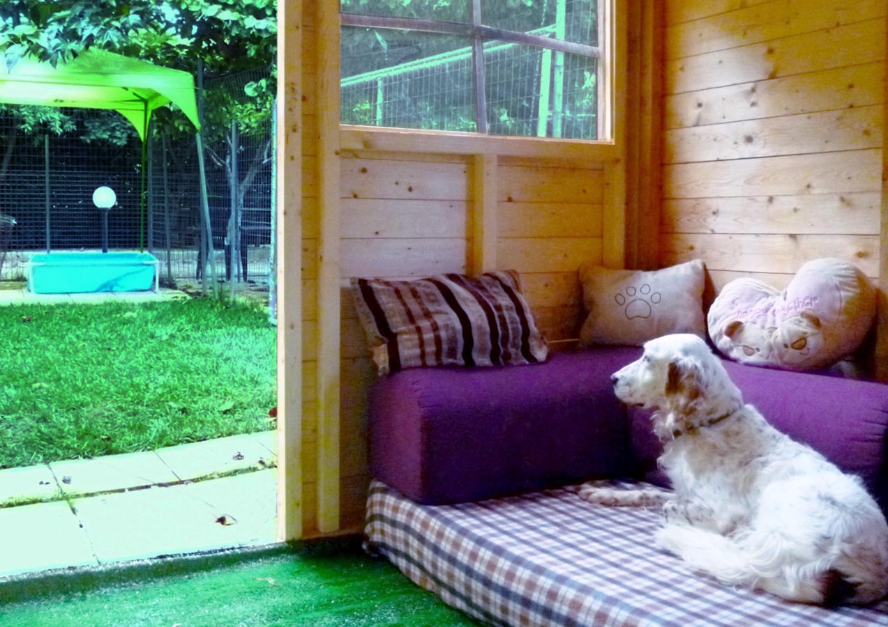 Ξενοδοχείο σκύλων I Love Dogs