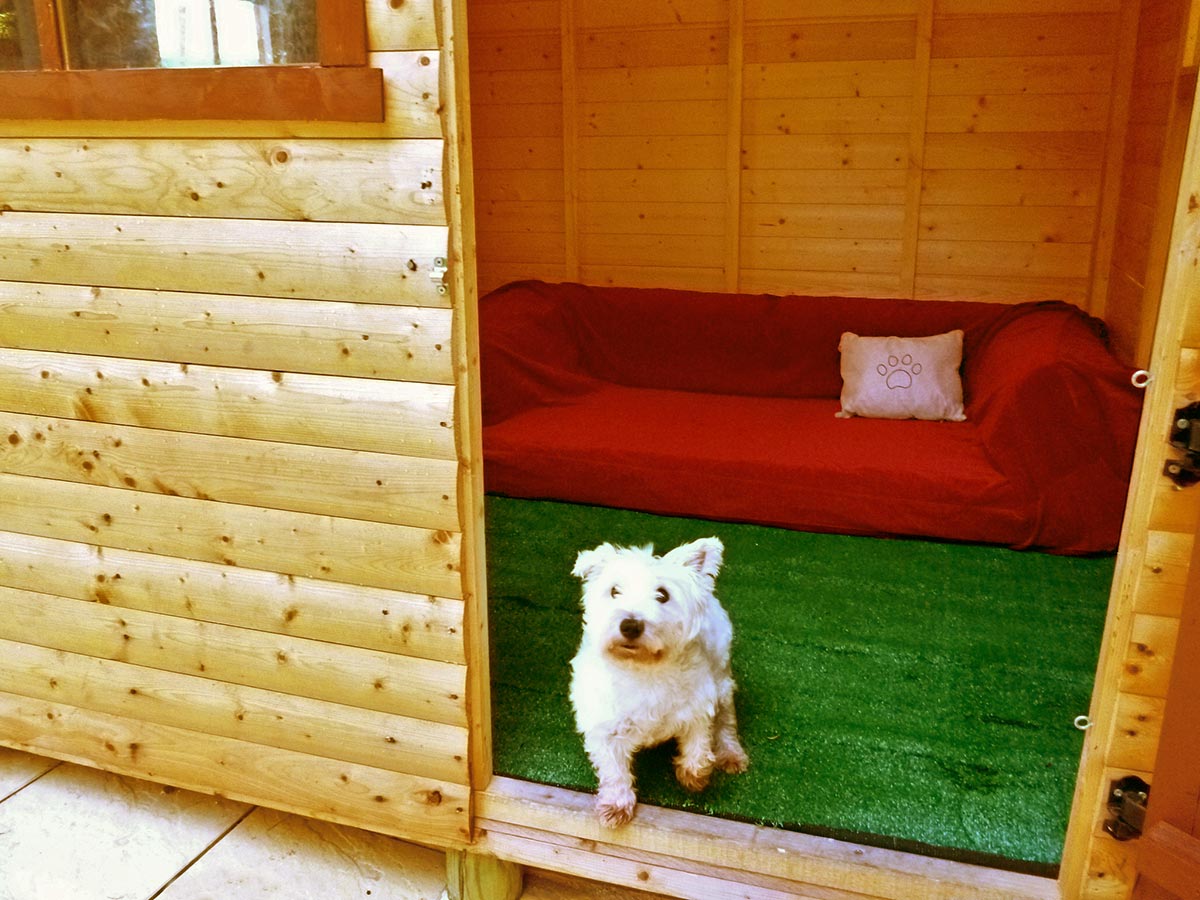 Ξενοδοχείο σκύλων I Love Dogs